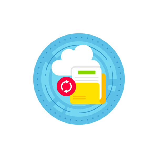Data Recovery